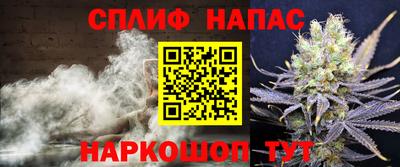 спайс Гагарин