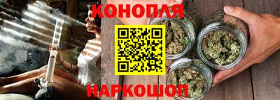 спайс Гагарин