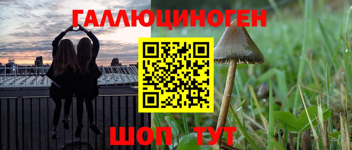 Псилоцибиновые грибы Magic Shrooms  Псилоцибиновые грибы прущие грибы  Советская Гавань  Вход с VPN 